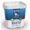 Beyers Plus urtica/chlorella mix 5kg