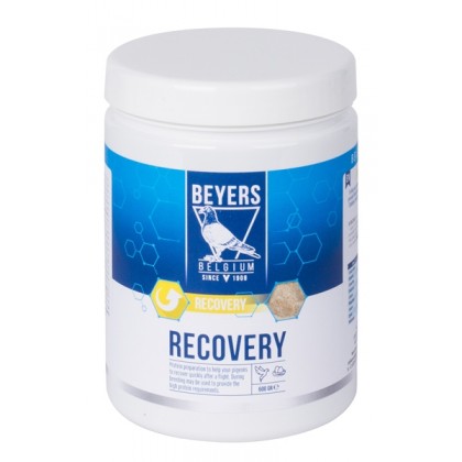 Beyers Plus Recovery 600gr
