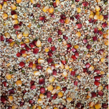 AIDI Speedy Sprint - NIEUW 20 kg