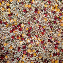 AIDI Speedy Sprint - NIEUW 20 kg