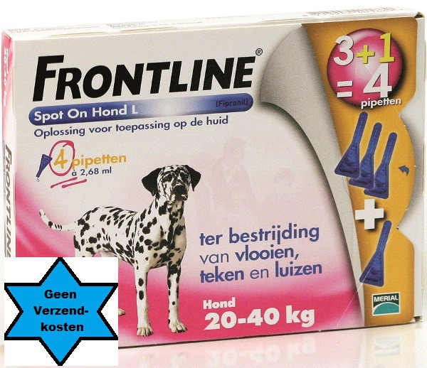 Beknopt Uitgraving Inloggegevens Frontline Hond Spot On L 4 pipet - Dierenparadijs Theuns