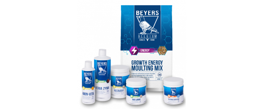 Beyers plus