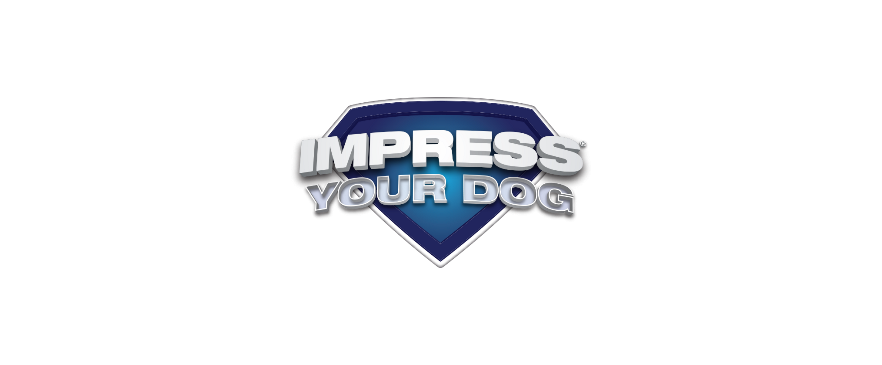 Impress your dog